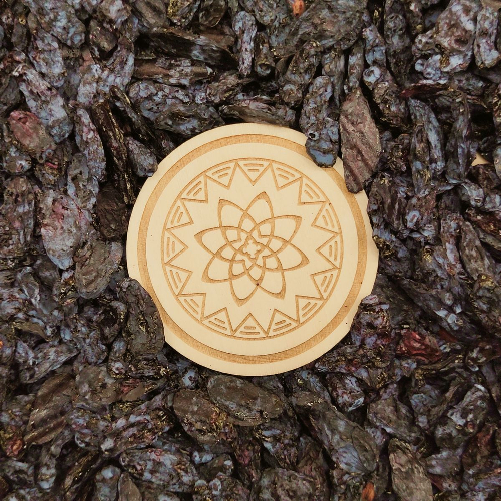 Жимолость Алтайская "Лесная".