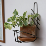 Подставка для цветов настенная "Большая" на 1 горшок, металл М0000091