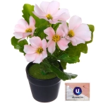 Цветочная композиция «Поцелуй лета» Космея розовая 20см