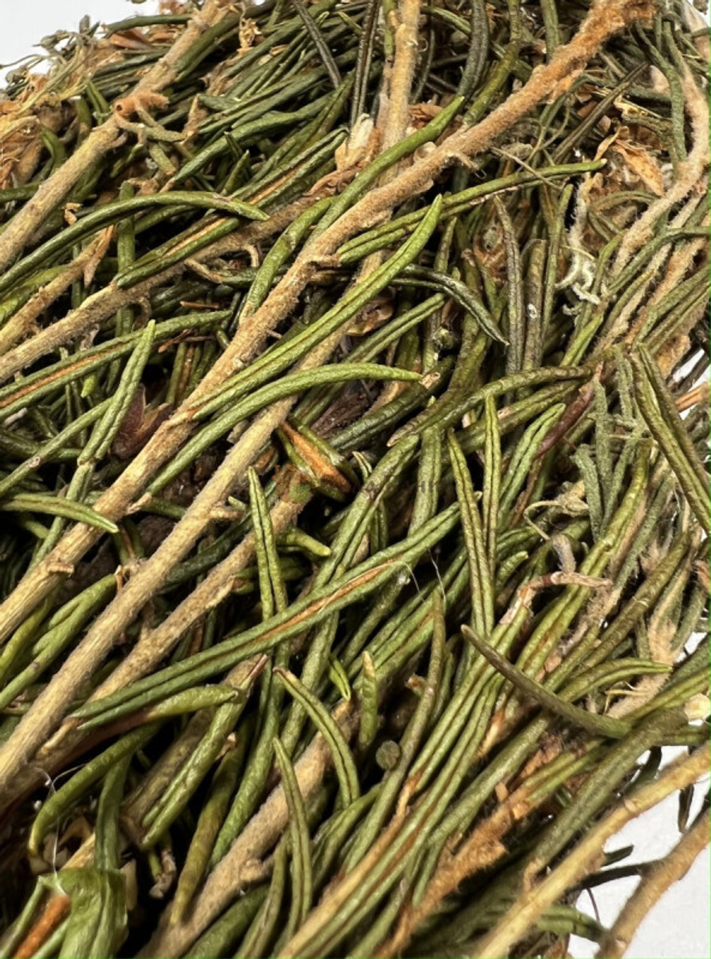 img_30-11_E_007.jpg img_30-11_E_007.jpg