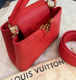Сумка Louis Vuitton Capucines Mini премиум класса