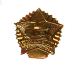 Значок Дембель(зеленая звезда)