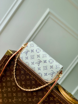 Louis Vuitton Ivy Wallet On Chain Bag