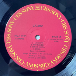 Винтажная виниловая пластинка LP Gazebo (Japan 1984) (No Obi) Wrap The Rock