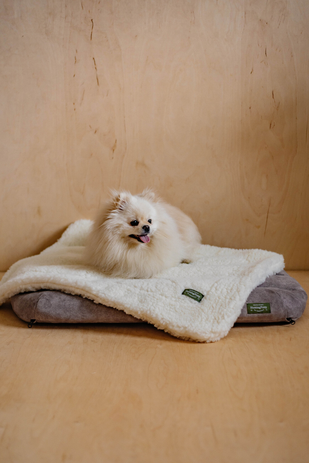 Плед "Пони-сони" Белый