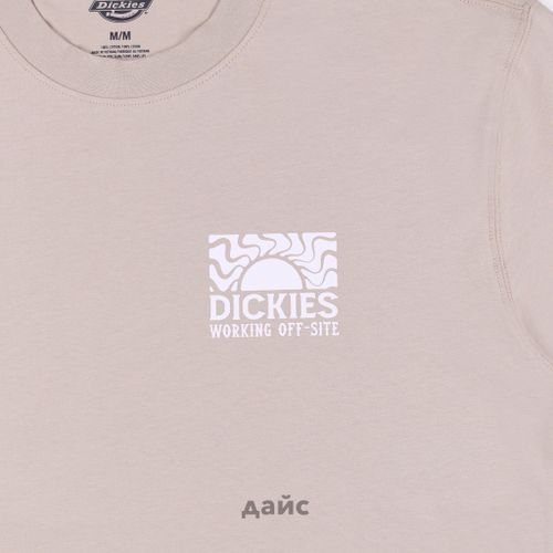 Футболка мужская Dickies Saltville Tee артикул:DK0A4YR9SS01 - купить в магазине Дайс