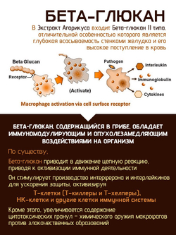 Fine Japan экстракт Агарикуса, гриба долголетия