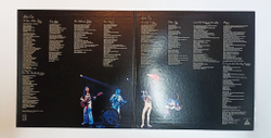 Винтажная виниловая пластинка LP Queen A Day At The Races (Japan 1976) (No Obi)