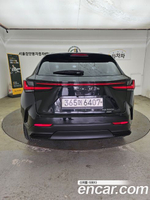 Lexus NX350h 2 Generation Premium (02.2023)