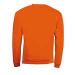 Свитшот SPIDER