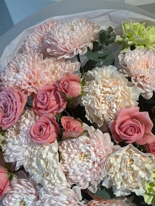 собран сегодня #13