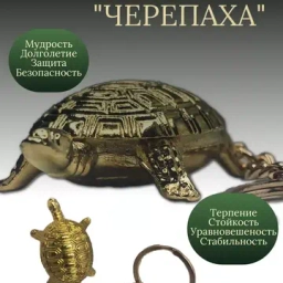 Новинки