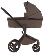 Детская коляска Anex Flo x Avionaut Cosmo 3 в 1 без адаптеров Browny/ss-06 Black