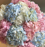 Букет из гортензии "Сладкая вата"