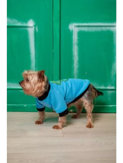 Толстовка для собак и кошек