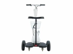 Трицикл WELLNESS EASY 350w
