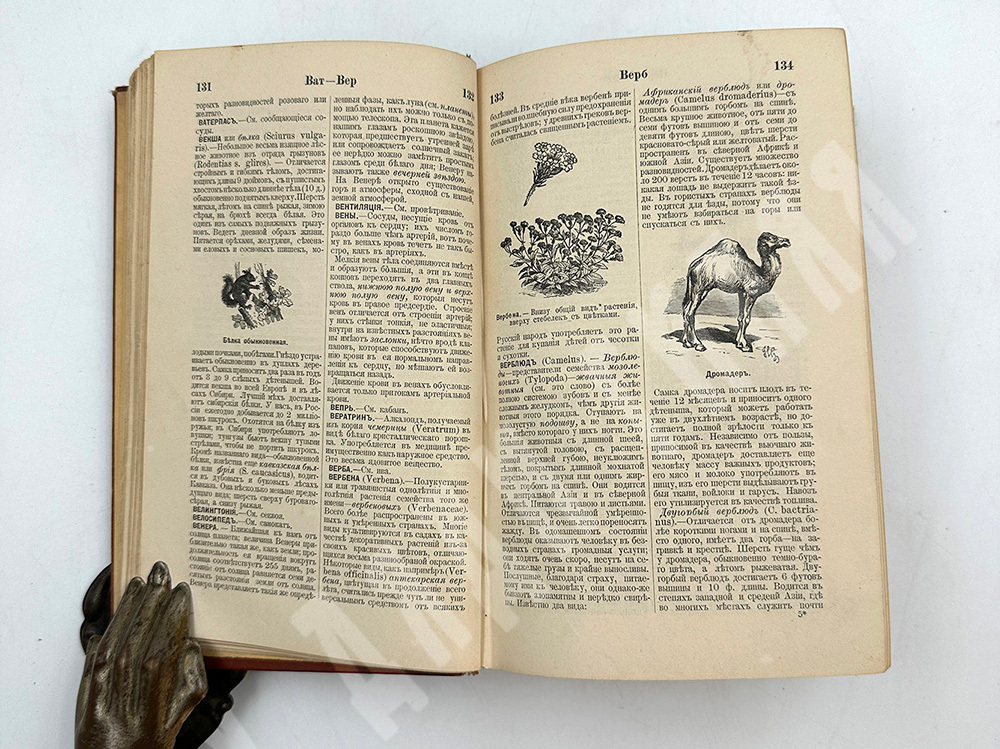 Иллюстрированный словарь. Общеполезных сведений. Под редакцией Эльпе. СПб. Изд. А.С. Суворина. 1898