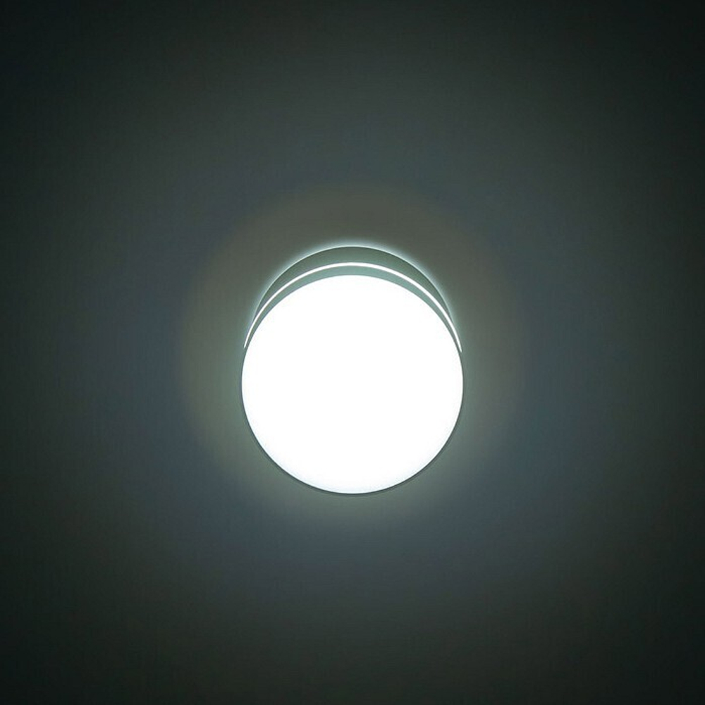 Накладной светильник Citilux CL745021N