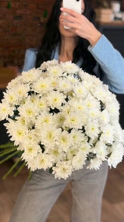 Хризантема кустовая махровая