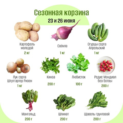 Сезонная корзина