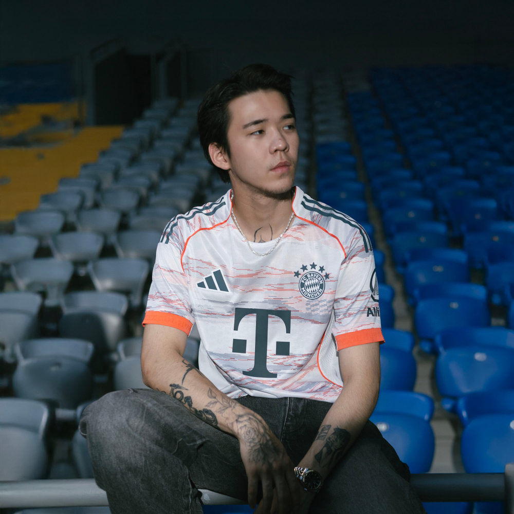 Бавария / Гостевая / Игровая