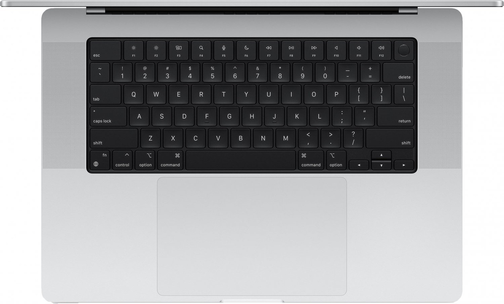 Ноутбук Apple MacBook Pro 14.2 (2024) M4 Max 36/1 ТБ Серебристый (MX2G3)