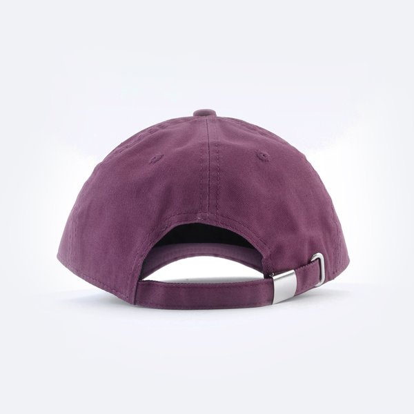 Кепка Anteater Baseball (violet) артикул:YKKTO8AzirB2kuXizMz2s1 - купить в магазине Дайс