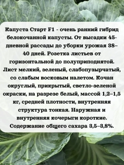 Семена капуста белокочанная Старт F1 0.2 гр
