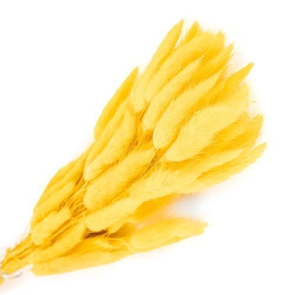 Сухоцветы ЛАГУРУС 65см 34гр ЯРКИЙ