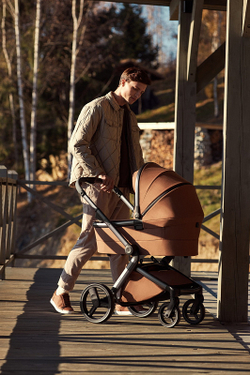 Детская коляска Anex l/type 3 в 1 Hazel