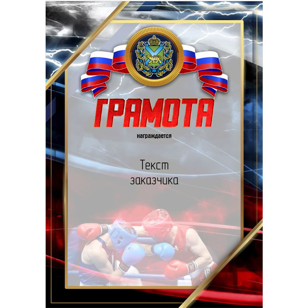PNDiploma-051 с текстом