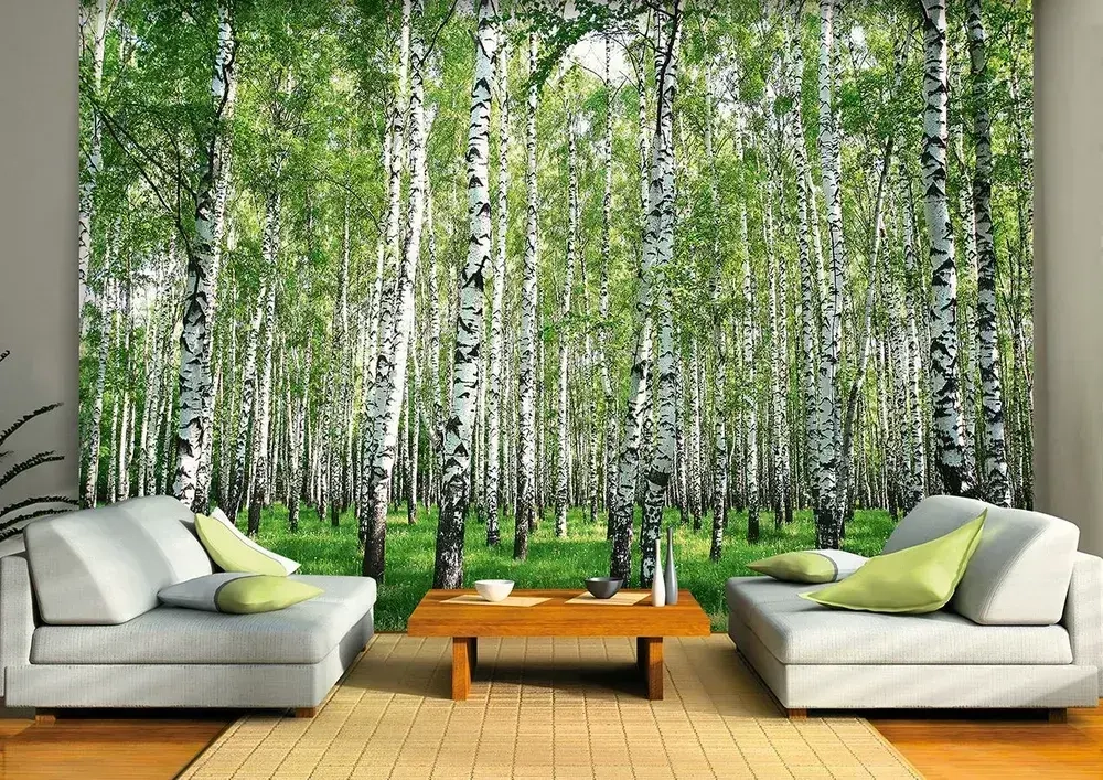 Фотообои Vostorg № 287 Березовая роща 392х260см