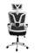 Кресло для руководителя Gramber С22 Сетка черная/Ткань черная/Белый