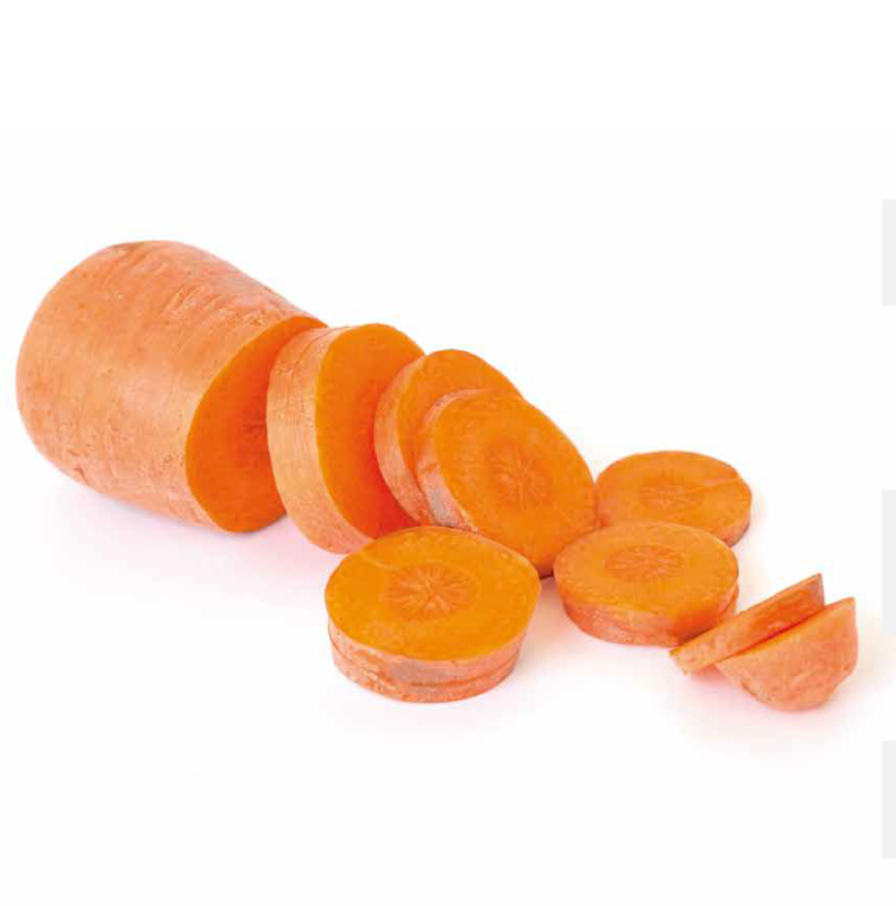 Абако F1 семена моркови курода/шантане (Seminis / Семинис)