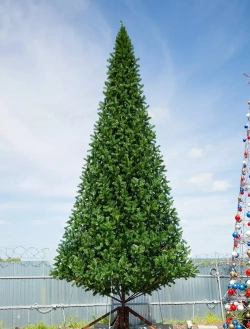 Уличная искусственная елка Альпийская зеленая 7 м., ствольная, ПВХ, Green Trees (GT7APVC)