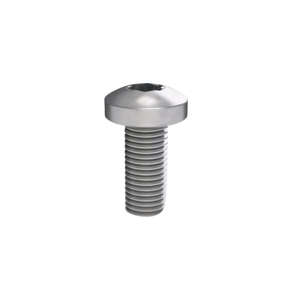 Винт М6х16 под шлиц Torx, комплект 50 шт., РАМ Пауэр (RAM power)