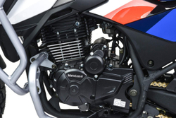 Мотоцикл Motoland GS ENDURO ПТС (172FMM-5/PR250)
