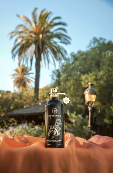 Montale Arabians Tonka