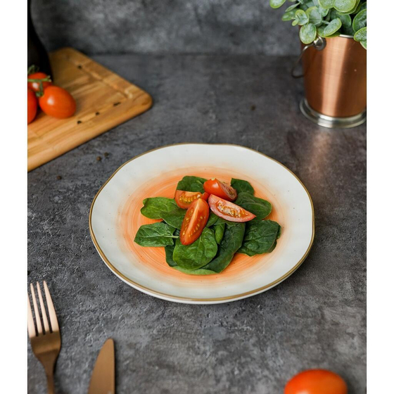 Тарелка d 21 см оранжевая фарфор "The   Eco" P.L. Proff Cuisine [6]