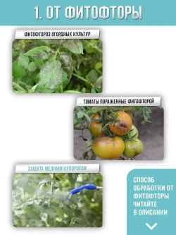 Купорос медный средство от грибка и плесени 1кг.