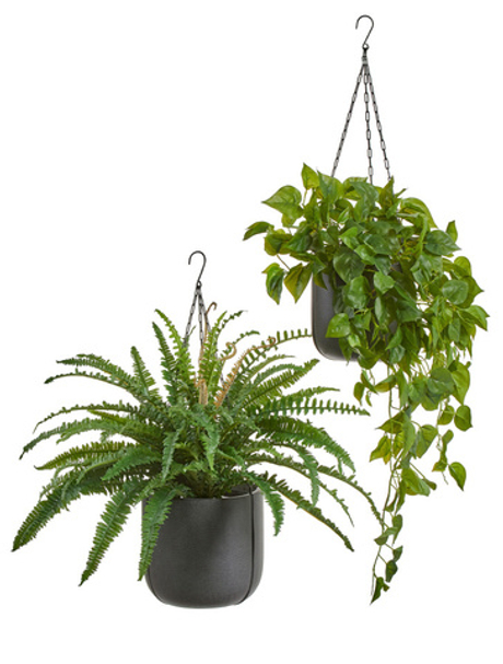 Комплект - Папоротник и филодендрон в кашпо Treez Effectory Beton