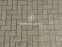 Современник, дом на Некрасова, г. Новосибирск