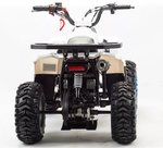 Квадроцикл MOTOLAND (МОТОЛЕНД) 110 EAGLE