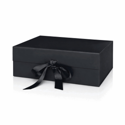 BL309BOXa22