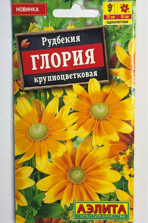 Рудбекия Глория крупноцветковая СМЦ-612