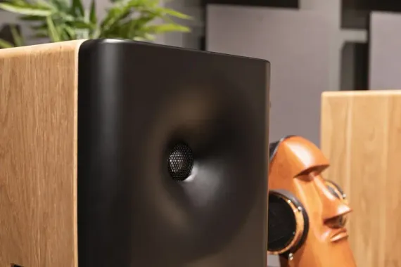 Dutch & Dutch 8c Speaker Black & Natural (1 шт)