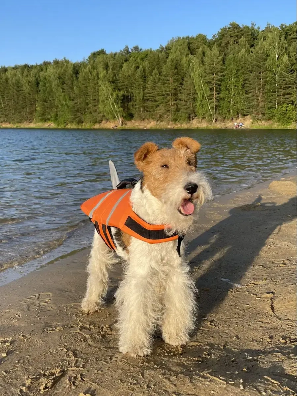 Спасательный жилет для собак и всех животных