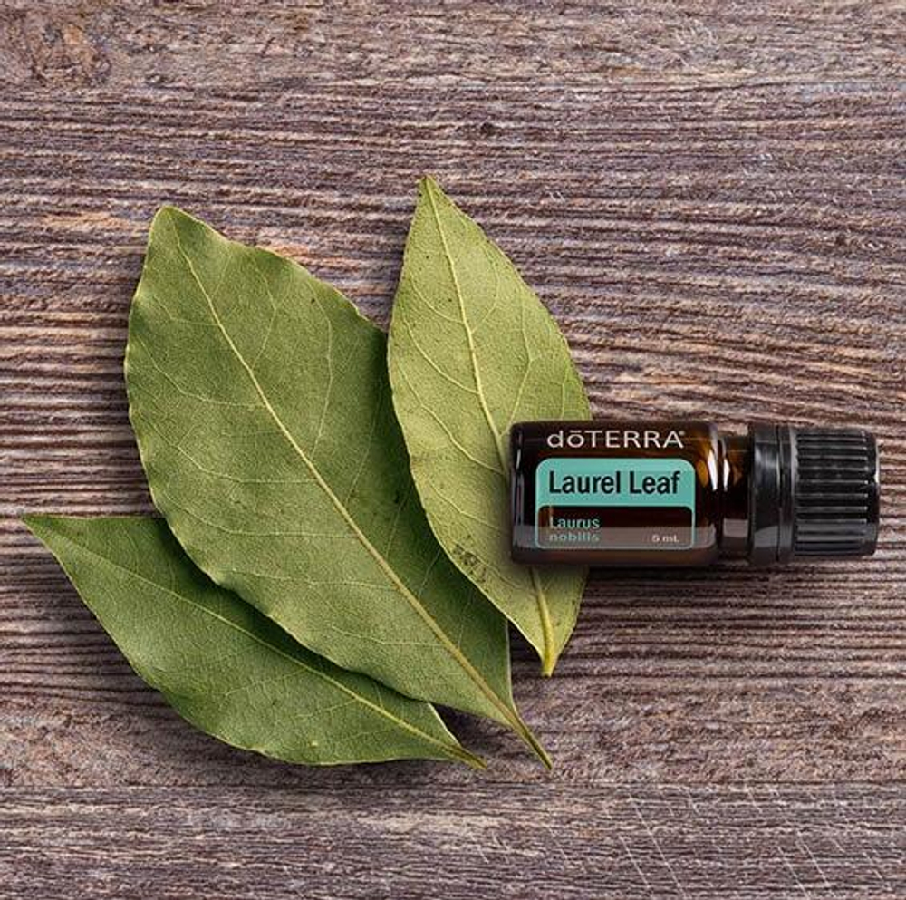 Эфирное масло doTERRA Лавровый лист, Laurel Leaf, 5 мл