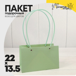 Пакет подарочный 22х13,5х10,5 Ваза для цветов (Зеленый)