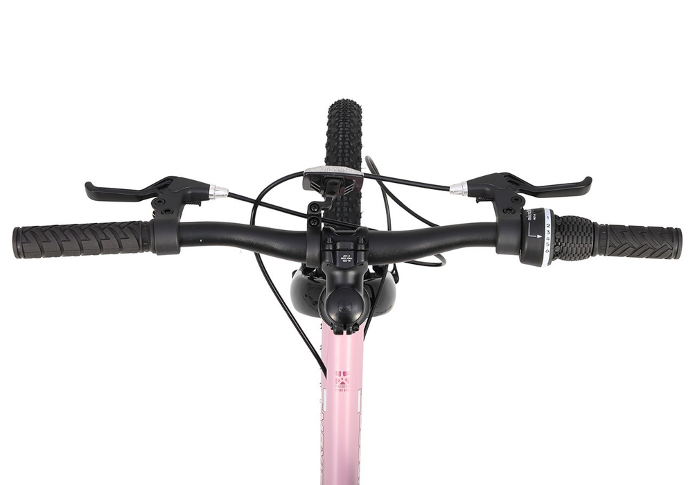 Maxiscoo 3BIKE 20'' L (2025)